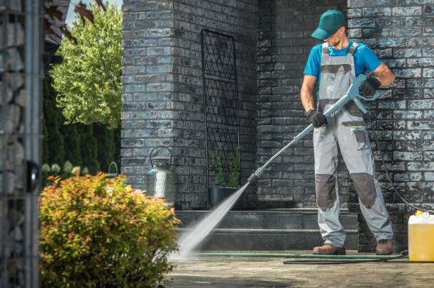 Best Roof Cleaning and Mildew Removal in Oakwood, OH